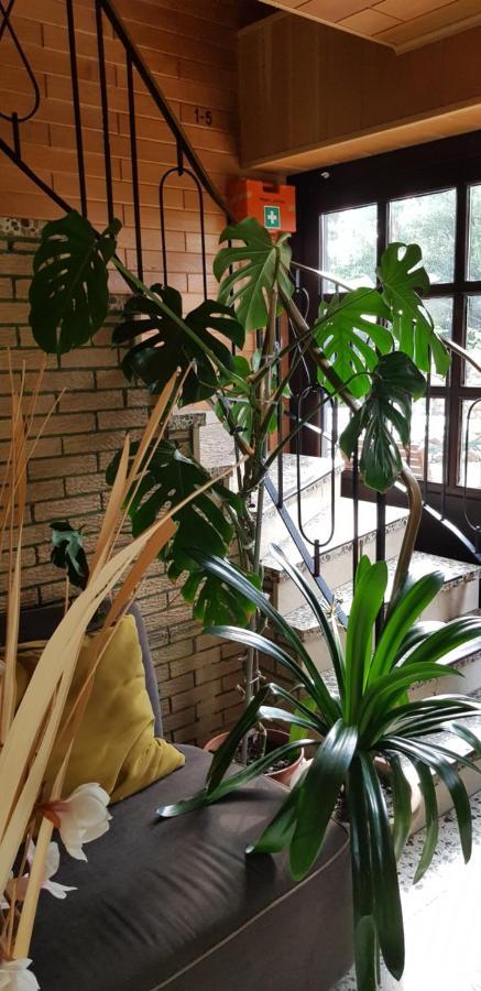 Haus Am Brunnen Apartment ลิงเงน ภายนอก รูปภาพ
