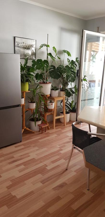 Haus Am Brunnen Apartment ลิงเงน ภายนอก รูปภาพ